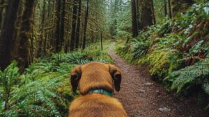 Transform Photos Without Timeline Editing Using Photo to Video AI Free